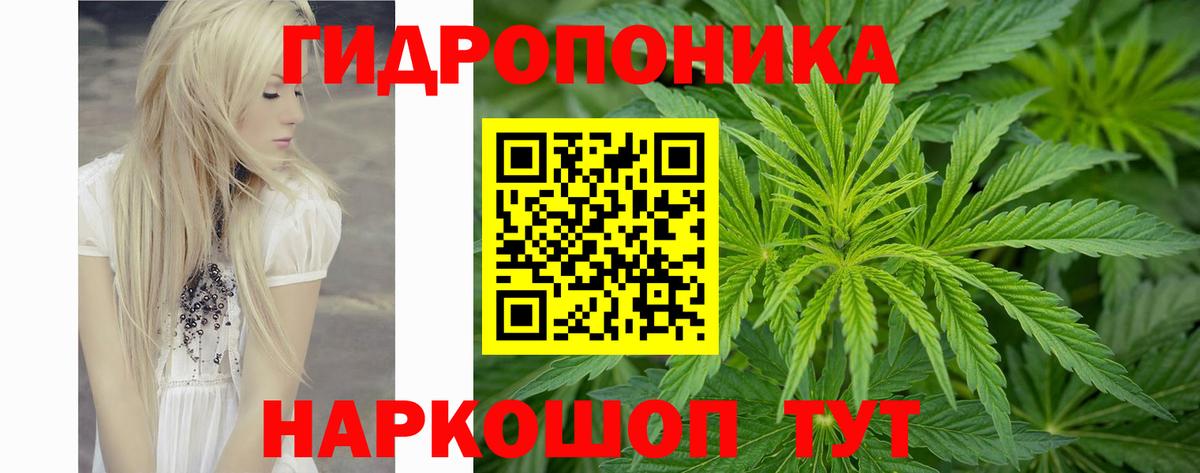 Марихуана план  Каннабис конопля  Конопля AK-47  Воркута  Вход с VPN  Марихуана LSD WEED 
